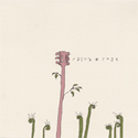 Portland,recording studios, Raina Rose despite the crushing weight of gravity cover